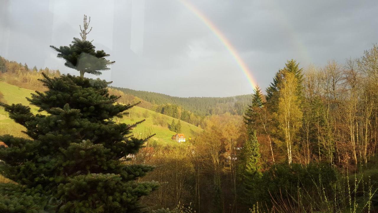 Fewo Bergblick Osterode am Harz Buitenkant foto